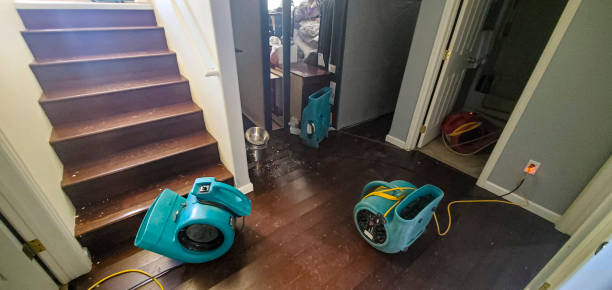 Best Carpet water damage restoration  in Clinton, LA