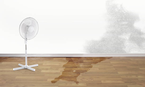 Best Water damage cleanup near me  in Clinton, LA