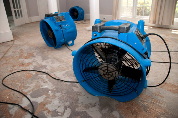 Best Water damage restoration mold remediation  in Clinton, LA