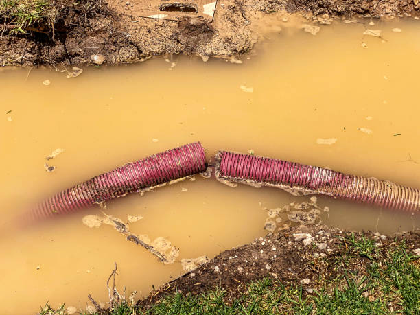 Best Flood damage cleanup  in Clinton, LA