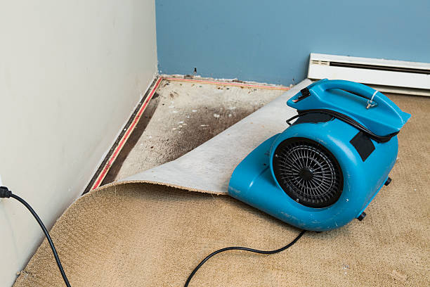 Best Fire Damage Restoration  in Clinton, LA